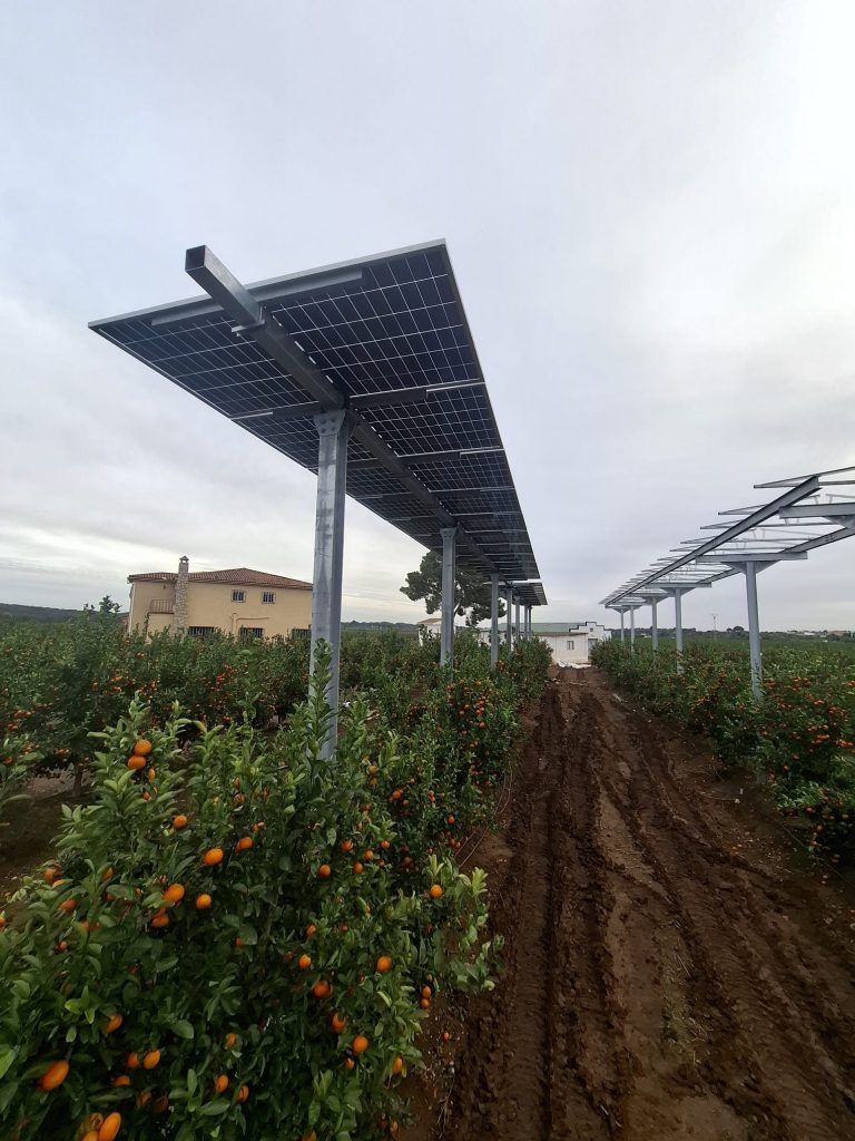 WhatsApp Image 2025-12-19 at 16.52.12 (1)