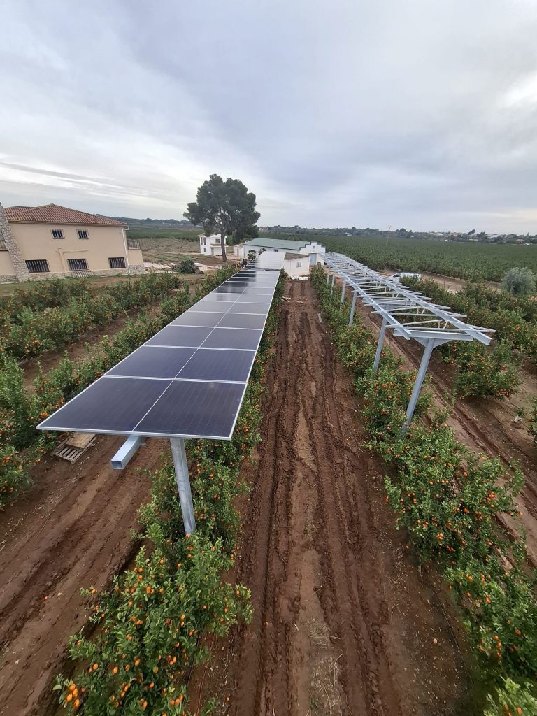 WhatsApp Image 2025-12-19 at 16.52.13