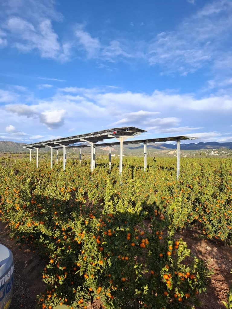 WhatsApp Image 2025-12-23 at 16.59.23