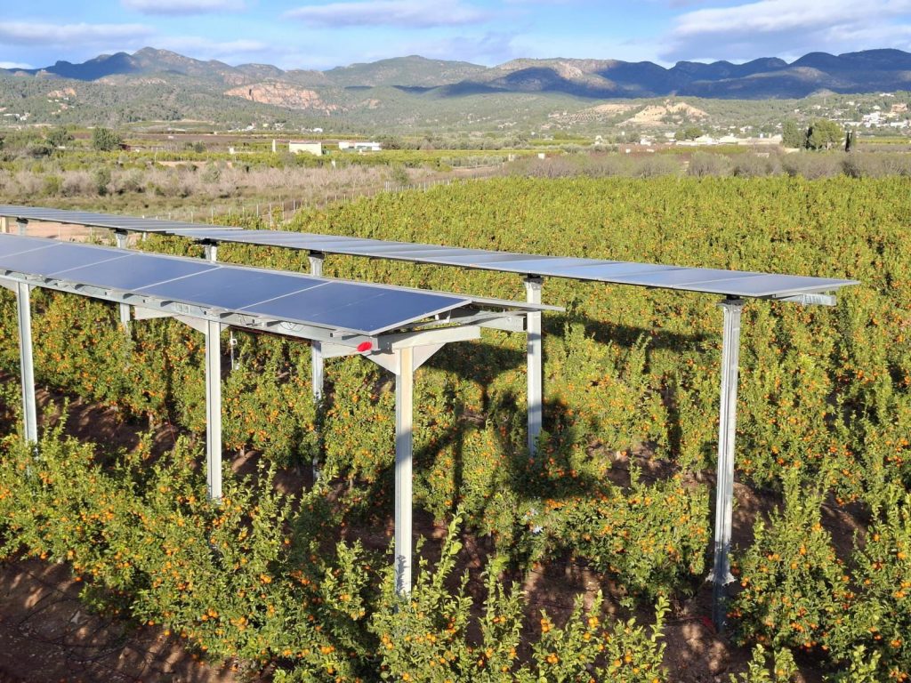 WhatsApp Image 2025-12-23 at 16.59.24