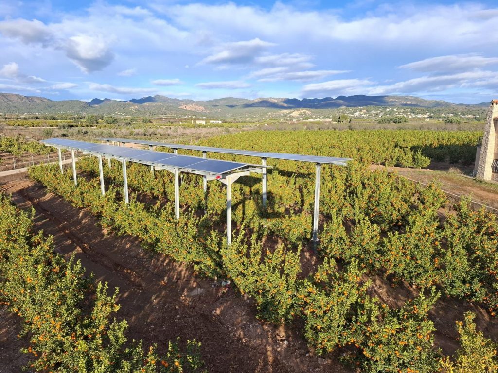 WhatsApp Image 2025-12-23 at 16.59.25