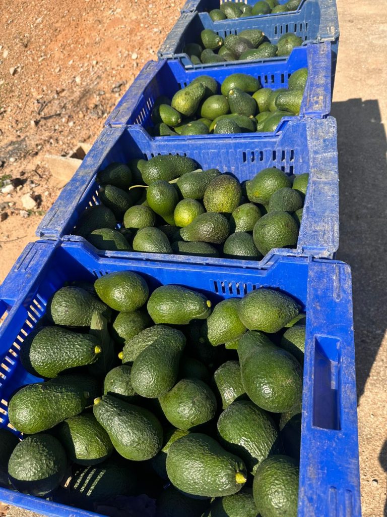 WhatsApp Image 2026-02-25 at 13.05.38 (1)